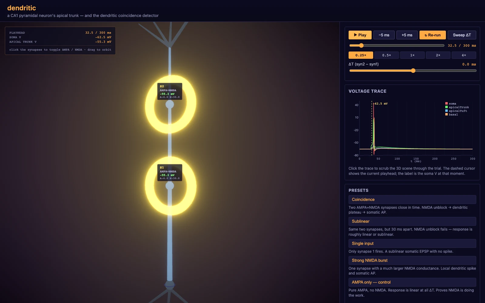 Dendritic coincidence simulator showing synaptic inputs, playback controls and voltage traces.